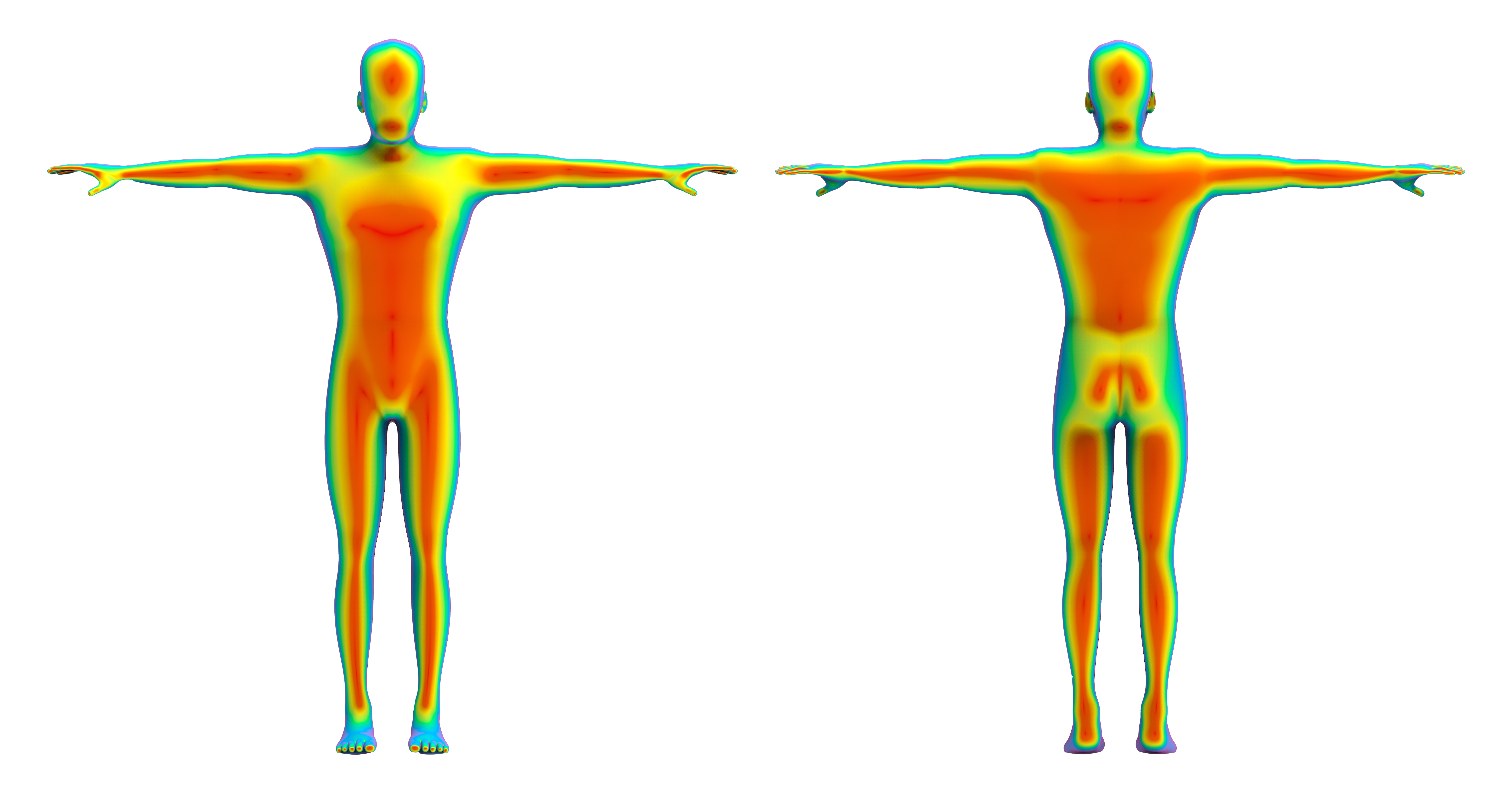 Thermography Body Back & Front